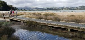 Te Ara Piko Walkway Plimmerton Club(1)